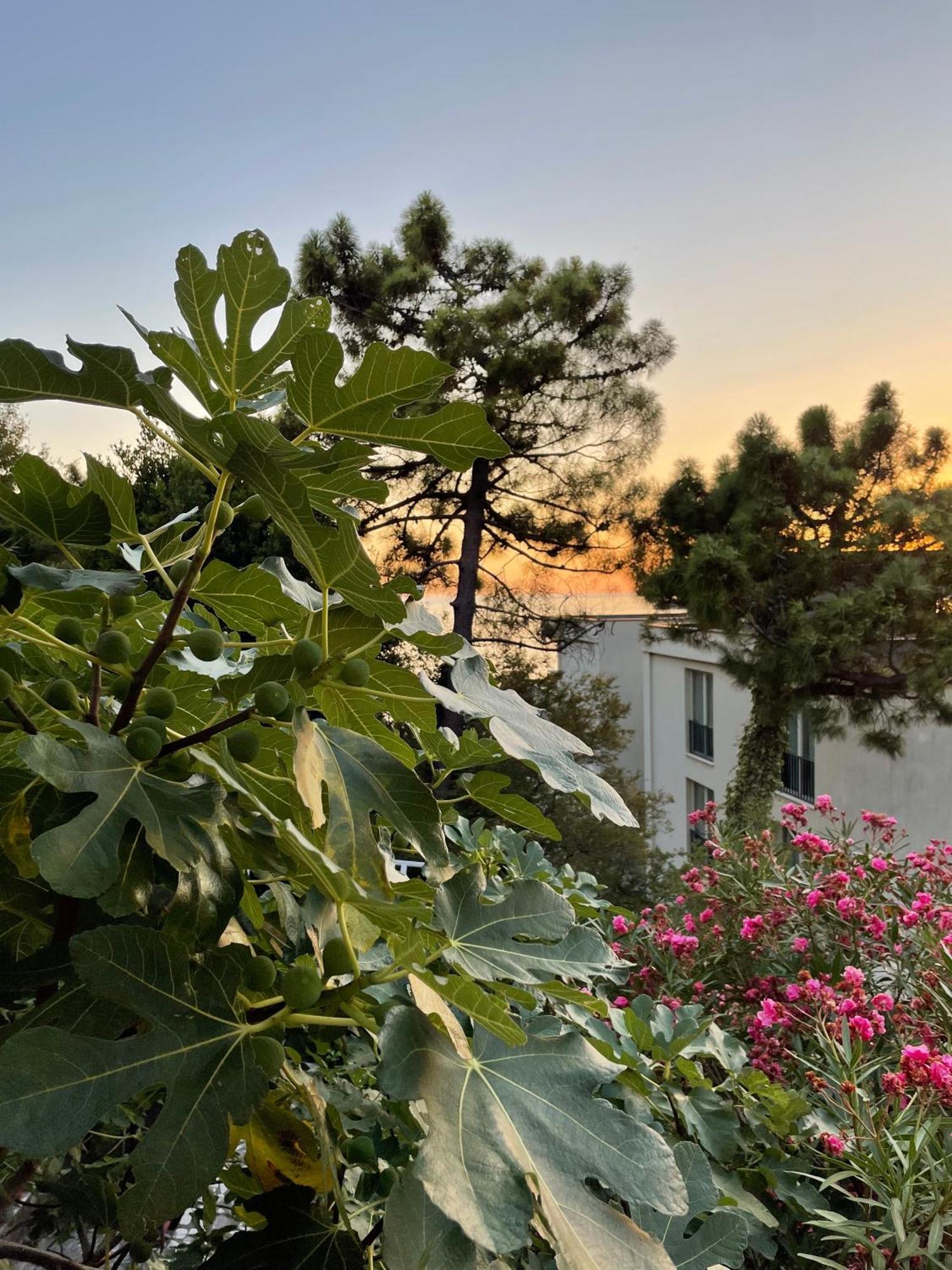 Apartments Sana Sveti Stefan Dış mekan fotoğraf